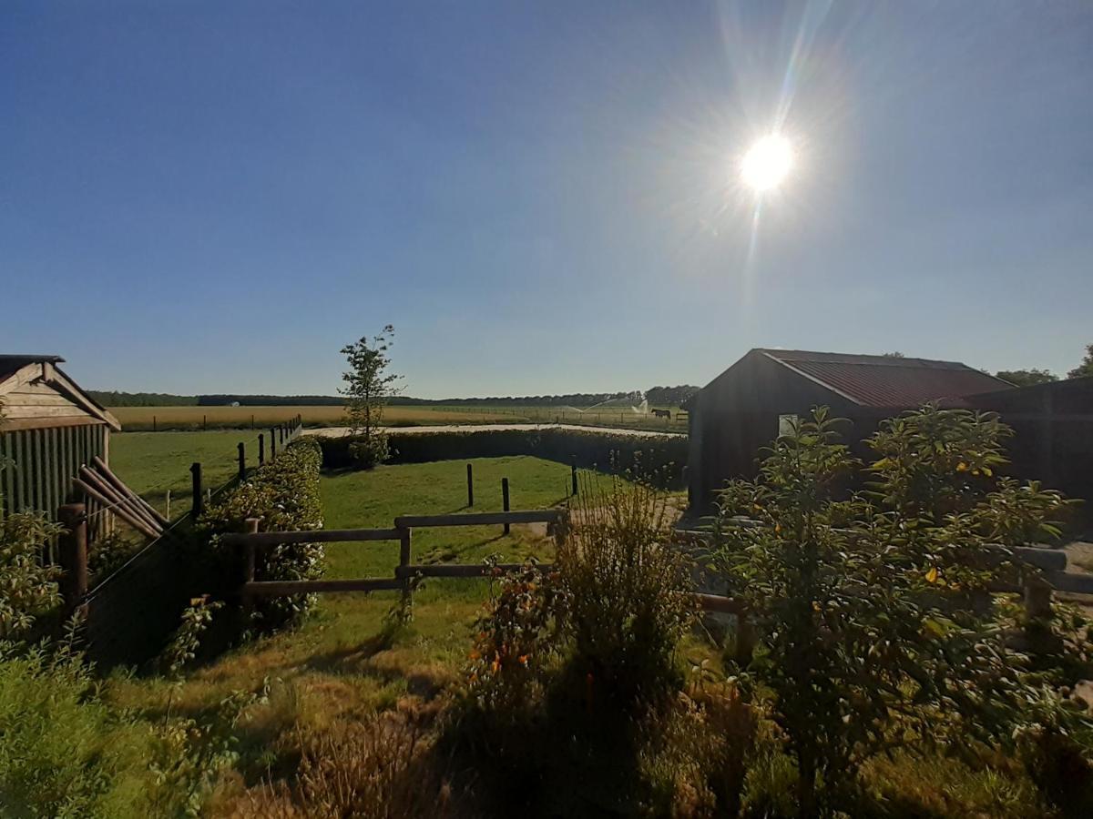 Vakantiehuis Paarden Paradijsje Drenthe, Meppen Buitenkant foto