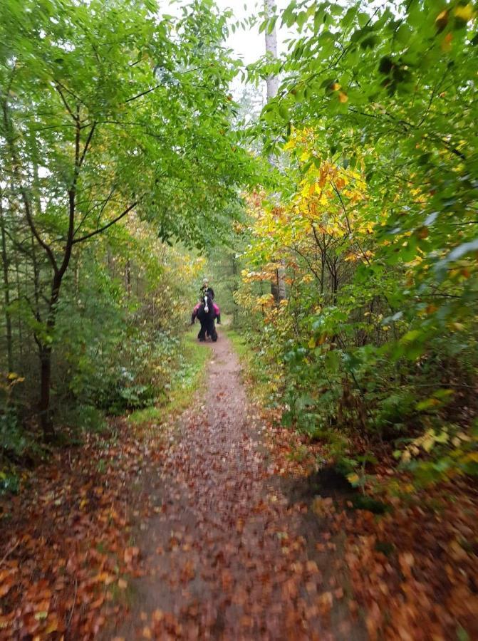 Vakantiehuis Paarden Paradijsje Drenthe, Meppen Buitenkant foto